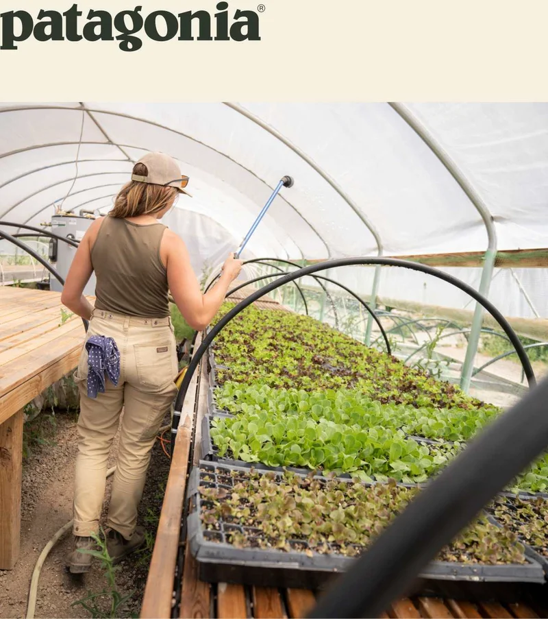 A person watering seedlings in a greenhouse.