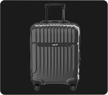 Luggage