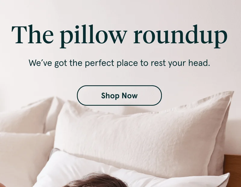 The Pillow roundup | Shop Now