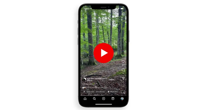 Trillium Video