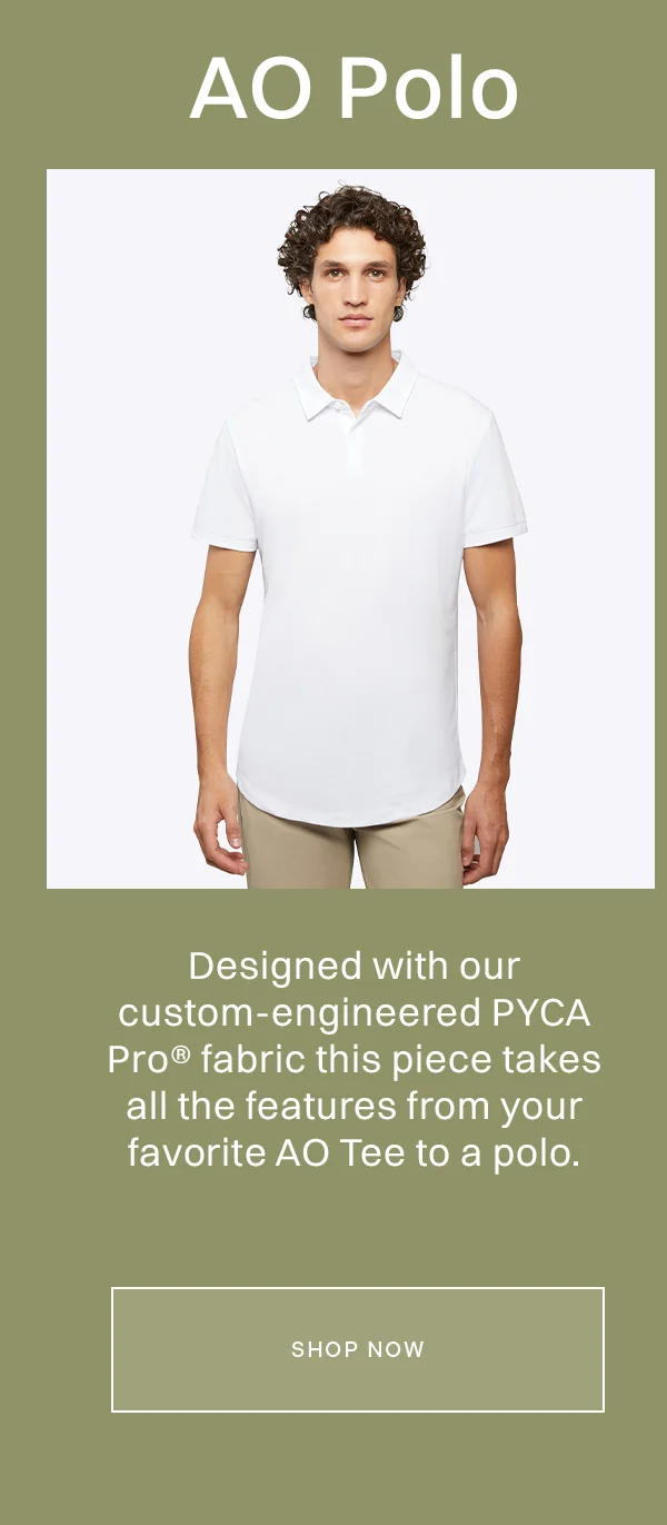 AO Polo