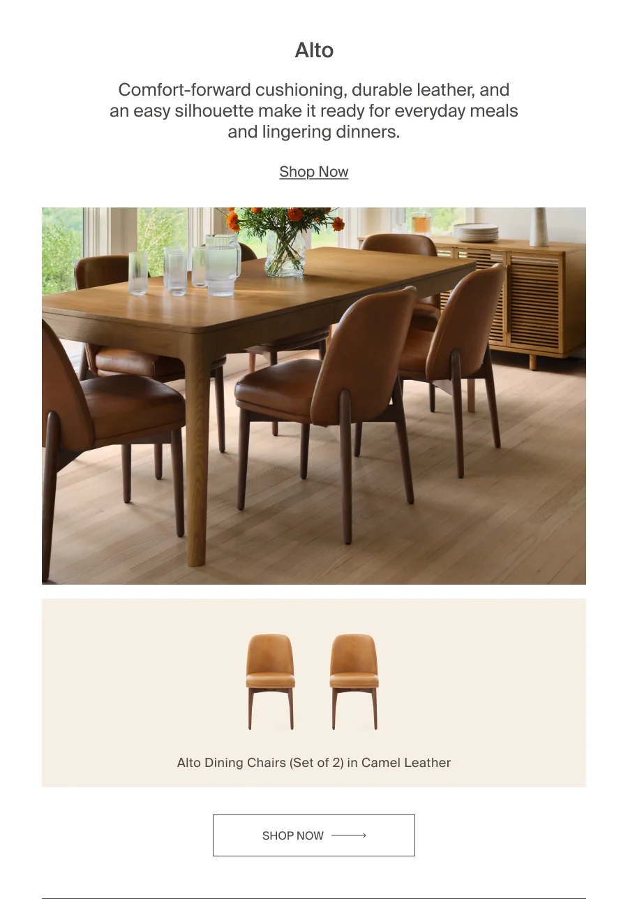 Alto Dining Chairs