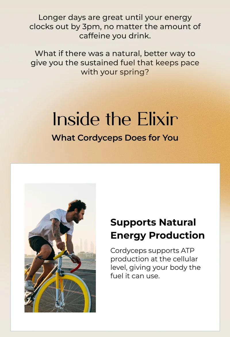Inside the Elixir