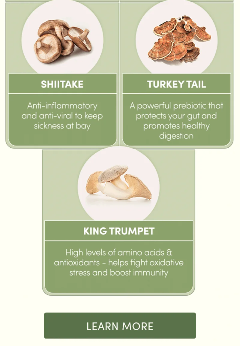 Shiitake: Anti-inflammatory and anti-viral to keep sickness at bay | Turkey Tail: A powerful prebiotic that protects your gut and promotes healthy digestion | King Trumpet: High levels of amino acids & antioxidants - helps fight oxidative stress and boost immunity | Learn More