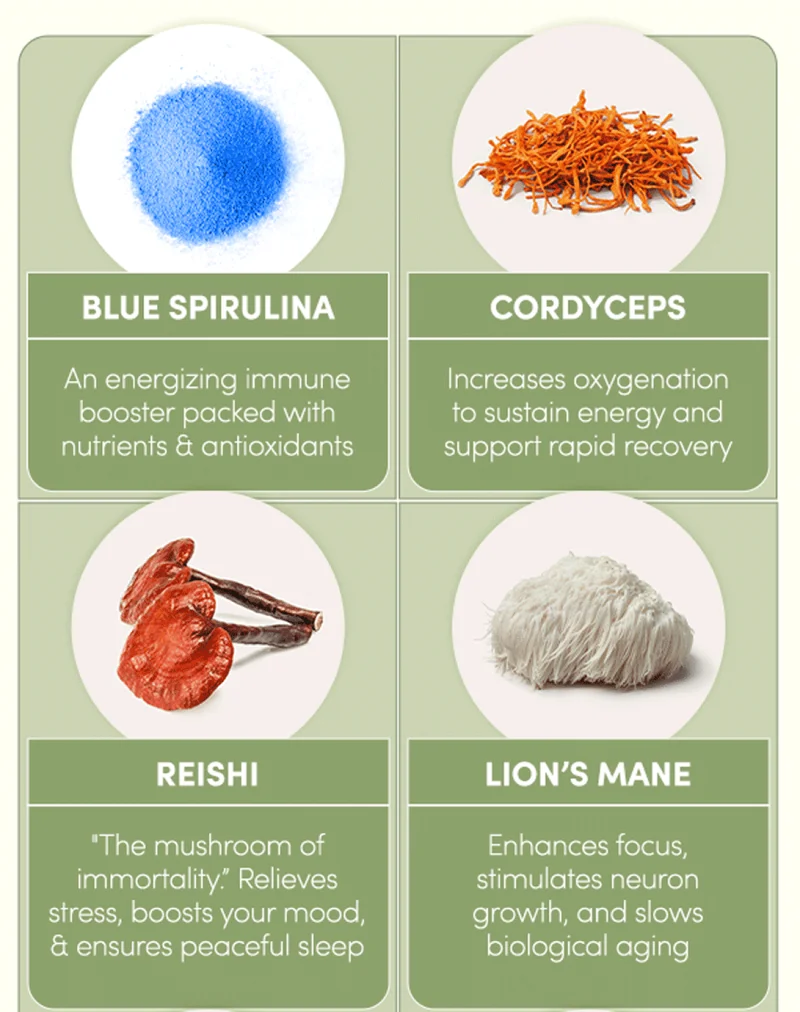 Blue Spirulina: An energizing immune booster packed with nutrients & antioxidants | Cordyceps: Increases oxygenation to sustain energy and support rapid recovery | Reishi: "The mushroom of immortality.” Relieves stress, boosts your mood, & ensures peaceful sleep. | Lion’s Mane: Enhances focus, stimulates neuron growth, and slows biological aging