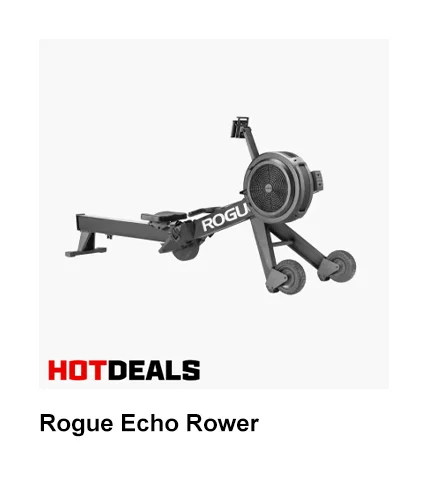 Rogue Echo Rower