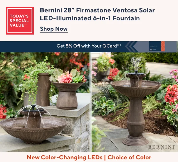 Bernini TSV