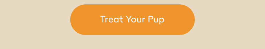 Treat Your Pup