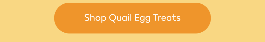 Shop Quail Egg Treats