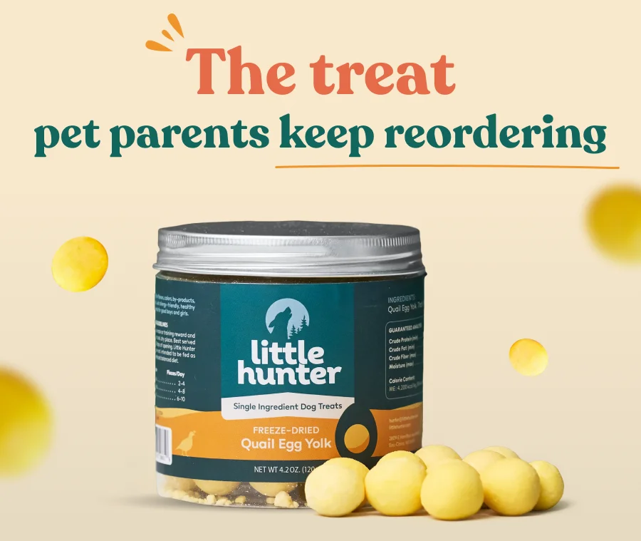 The treat pet parents keep reordering