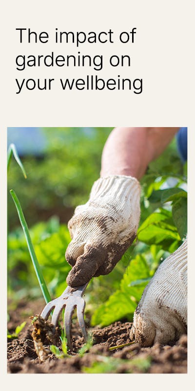 Gardening & Wellbeing - Top Banner