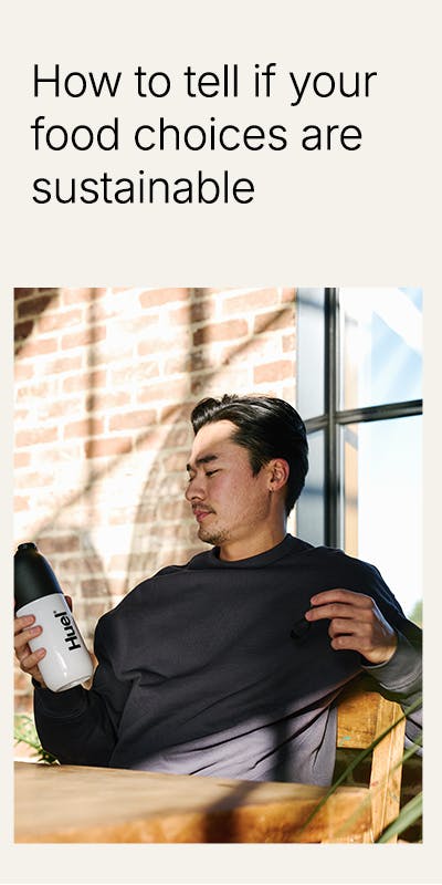 Sustainable Food - Top Banner