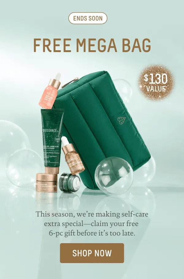 MEGA BAG