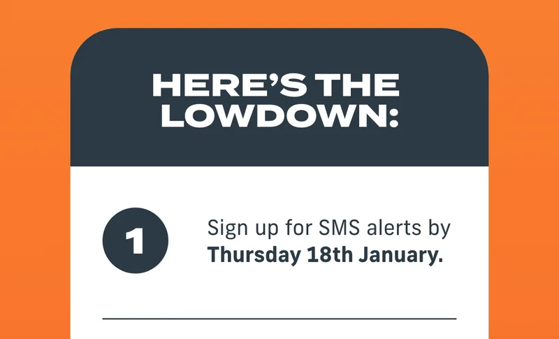 Here's the lowdown