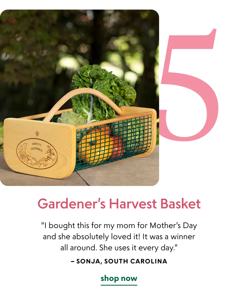 gardeners-harvest-basket