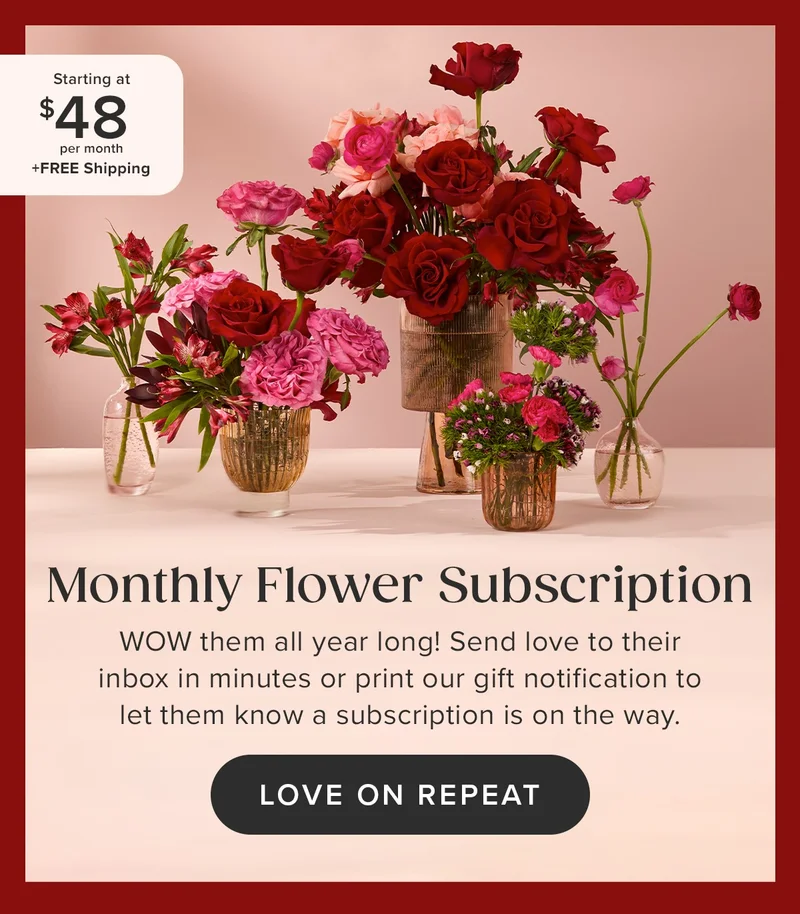 Monthly Flower Subscription -- starting at $48 per month + free shipping! WOW them all year long! Send love to their inbox in minutes or print our gift notification to let them know a subscription is on the way. Love on Repeat.