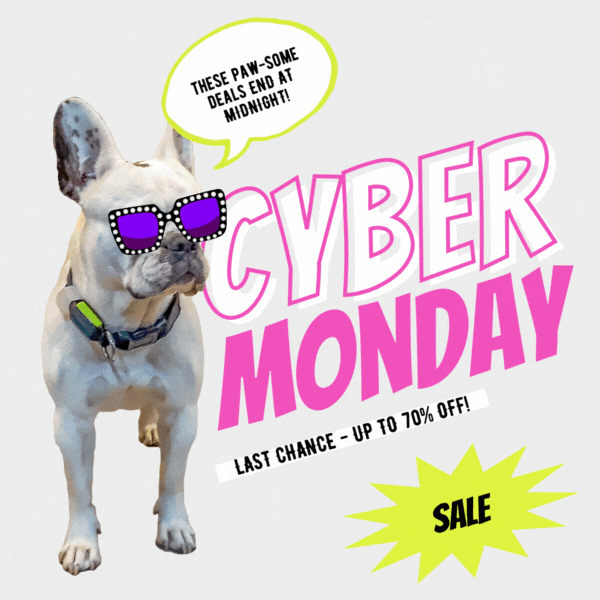 Cyber Monday Sale