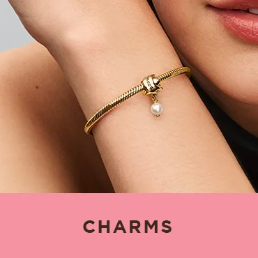 Shop Charms