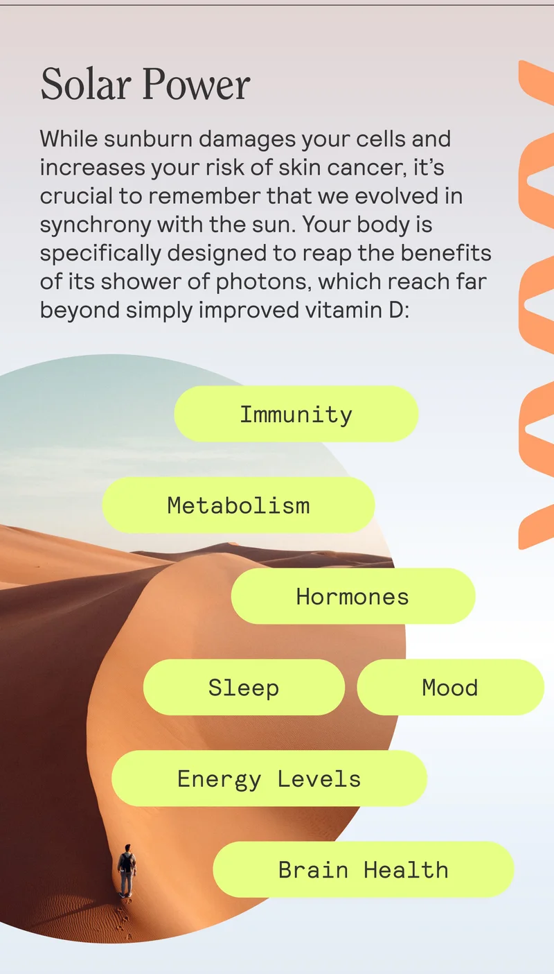 Solar Power. While sunburn damages your cells and increases your risk of skin cancer, it’s crucial to remember that we evolved in synchrony with the sun. Your body is specifically designed to reap the benefits of its shower of photons, which reach far beyond simply improved vitamin D:  Immunity | Metabolism | Hormones | Sleep | Mood | Energy Levels | Brain Health