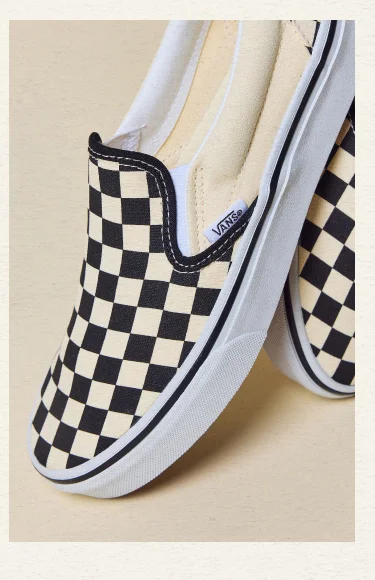 IMAGE-MEN'S VANS