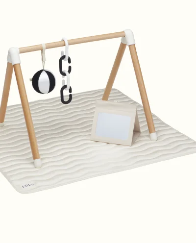 The Play Gym