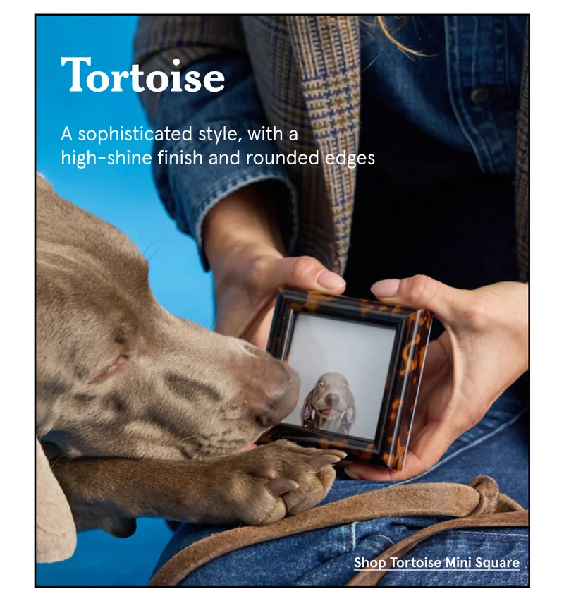 Tortoise. A sophisticated style, with a high-shine finish and rounded edges