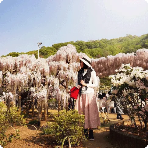 Image Description: A person standing in a garden surrounded by pink trees.