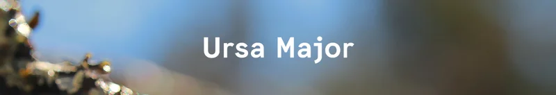 Ursa Major