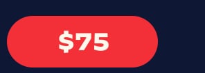 donate button 2