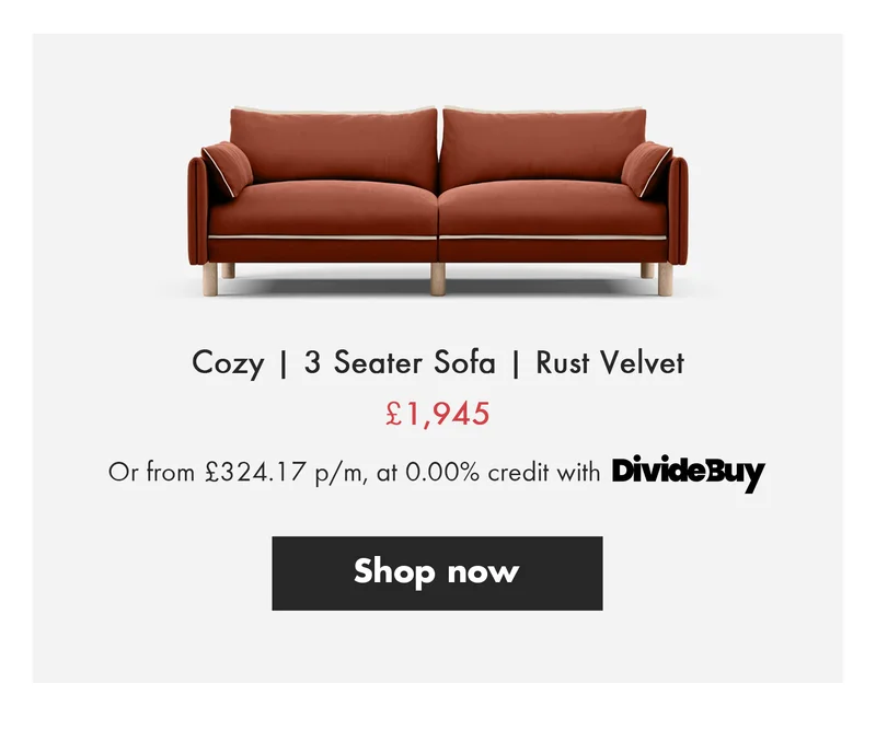 Cozy | 3 Seater Sofa | Rust Velvet