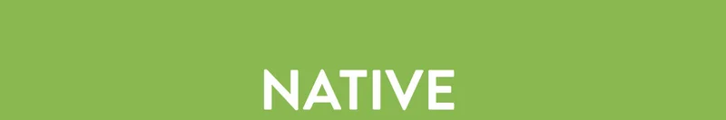 NATIVE
