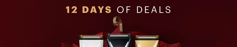 Day 12