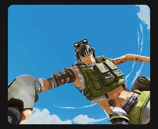 Owl GIF