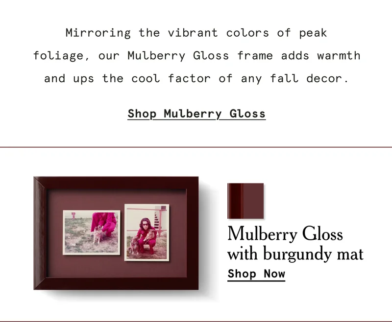 Shop Mulberry Gloss