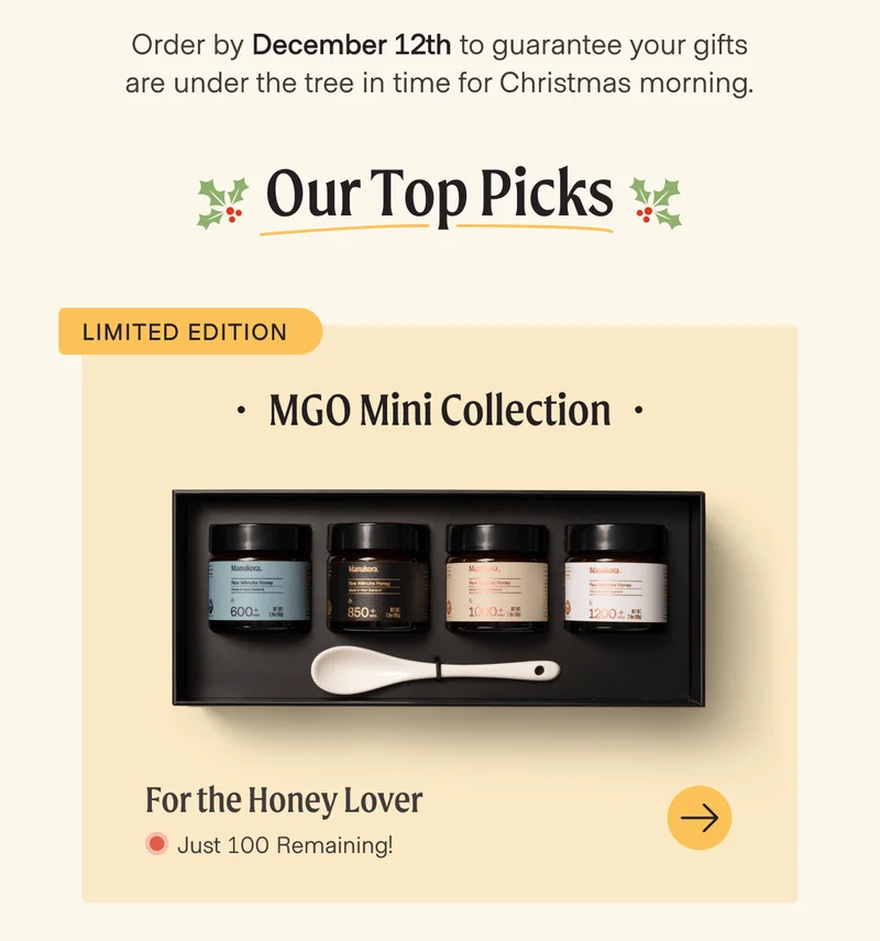 Shop the Mini MGO Collection