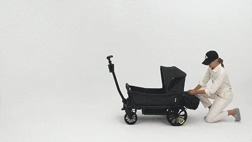 Veer Bassinet