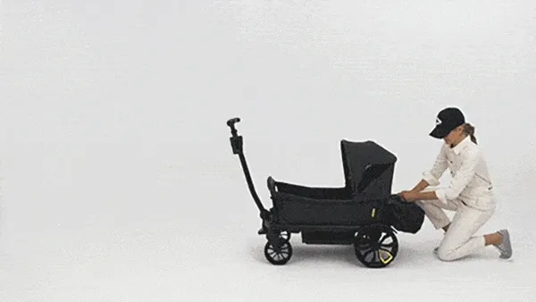 Veer Bassinet