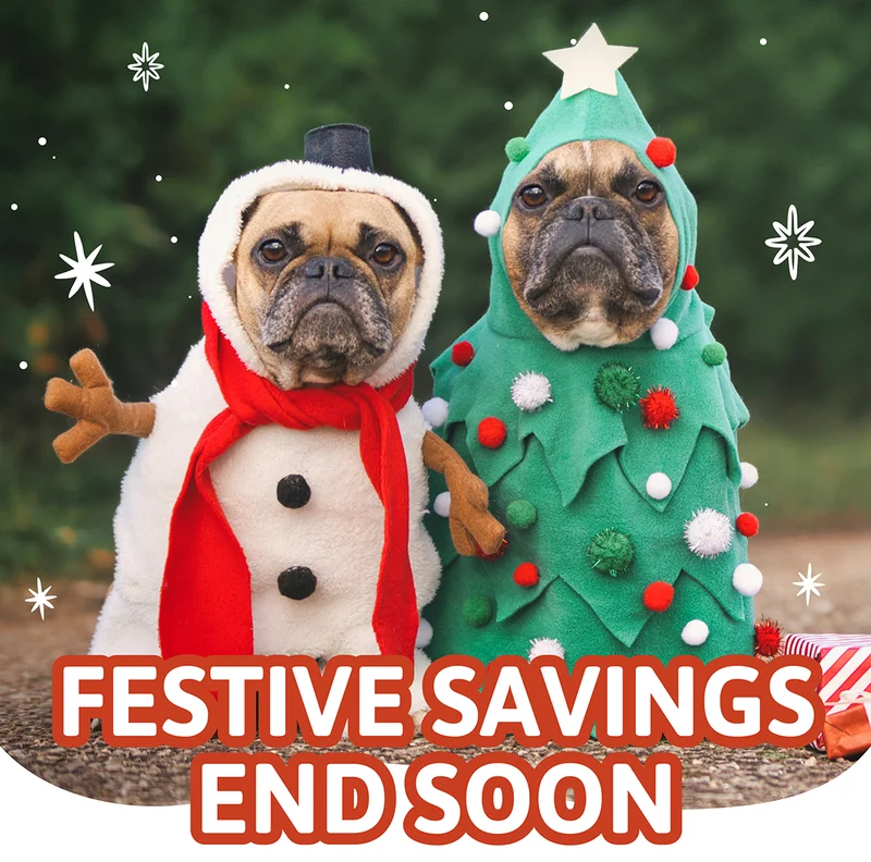 Festive Savings End Soon