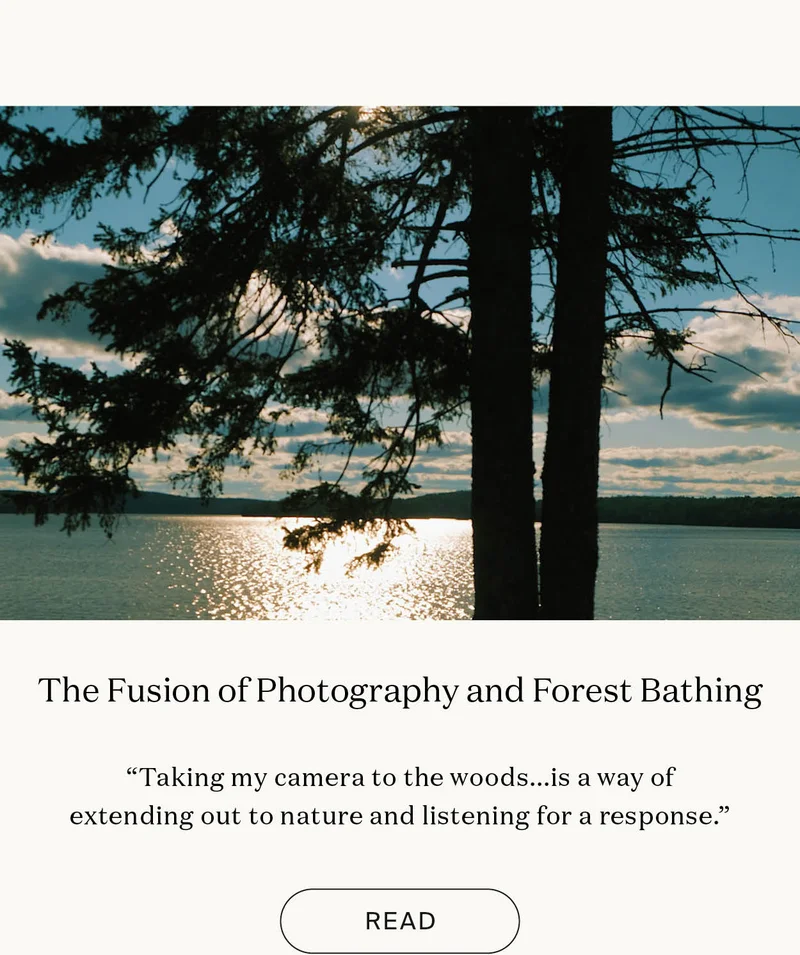 The Fusion of Photography and&nbsp;Forest Bathing