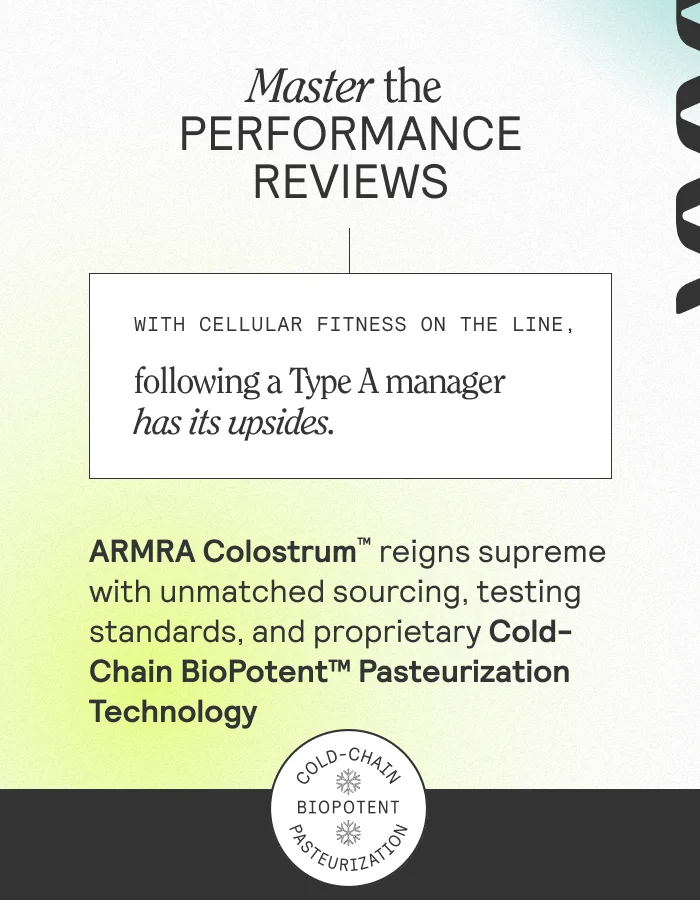 Master the Performance Reviews
