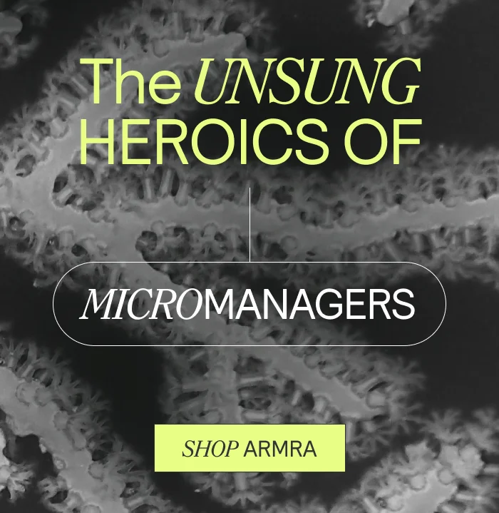 The Unsung Heroincs of Micromanagers