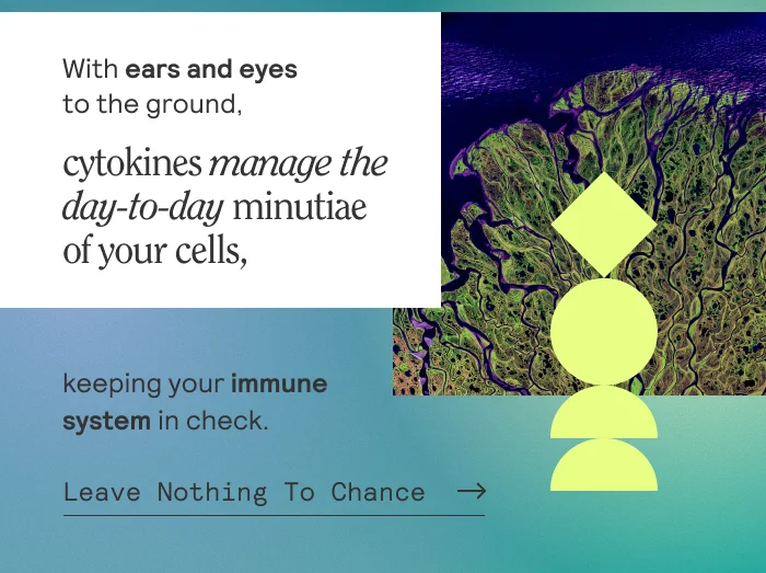 With ears and eyes on the ground, cytokines manage the day-to-day minutiae of your cells.