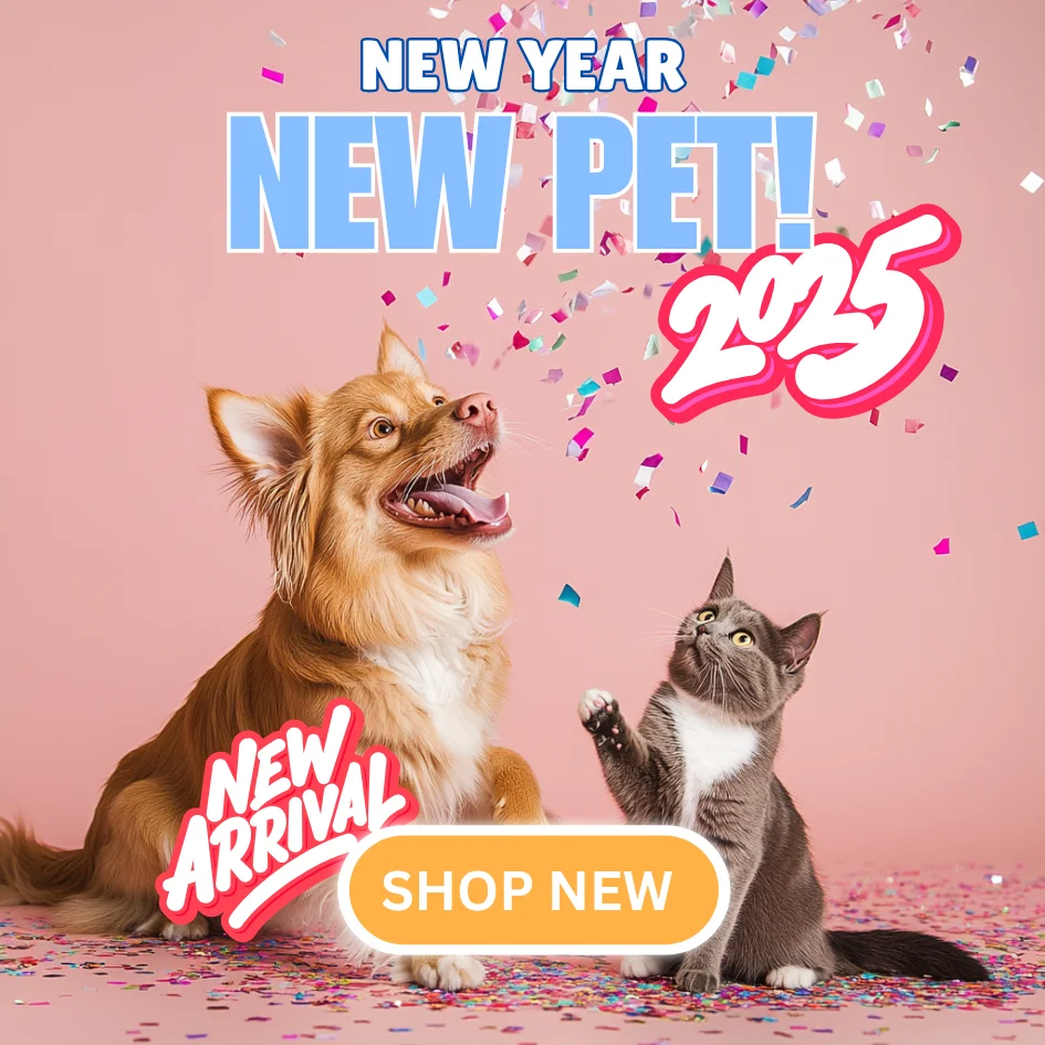 Christmas Clearance Sale