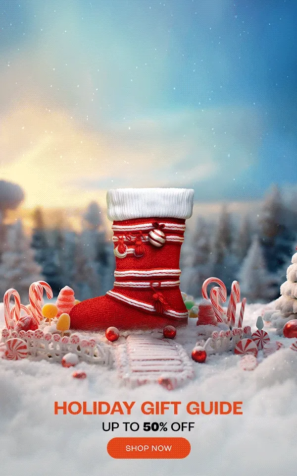 JBL Holiday