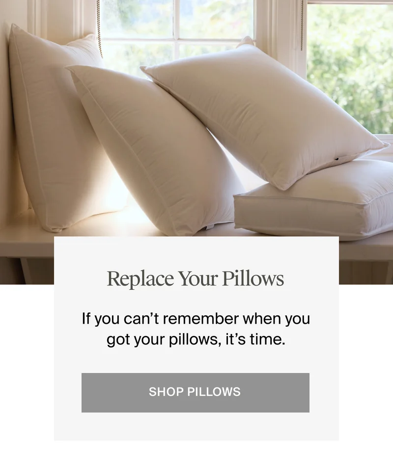 Replace your pillows. Shop pillows.