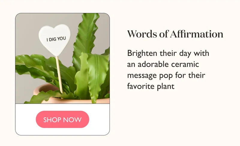 Words of Affirmation: Brighten their day with an adorable ceramic message pop for their favorite plant.