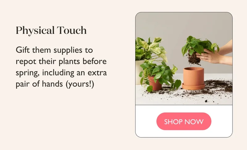 Physical Touch: Gift them supplies to repot their plants before spring, including an extra pair of hands – yours!