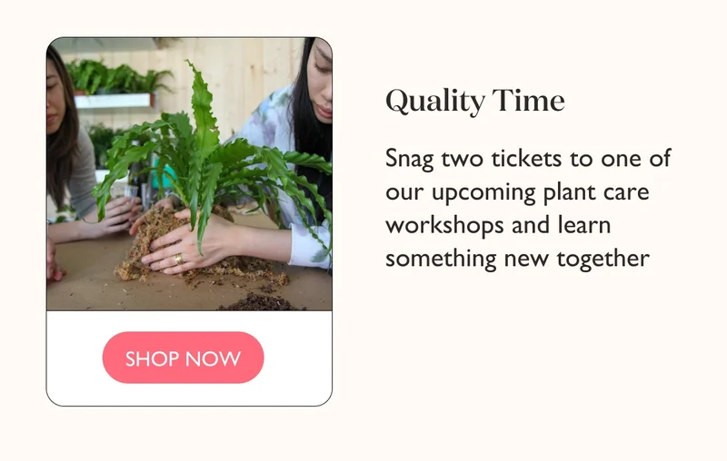 Quality Time: Snag two tickets to one of our upcoming plant care workshops and learn something new together.
