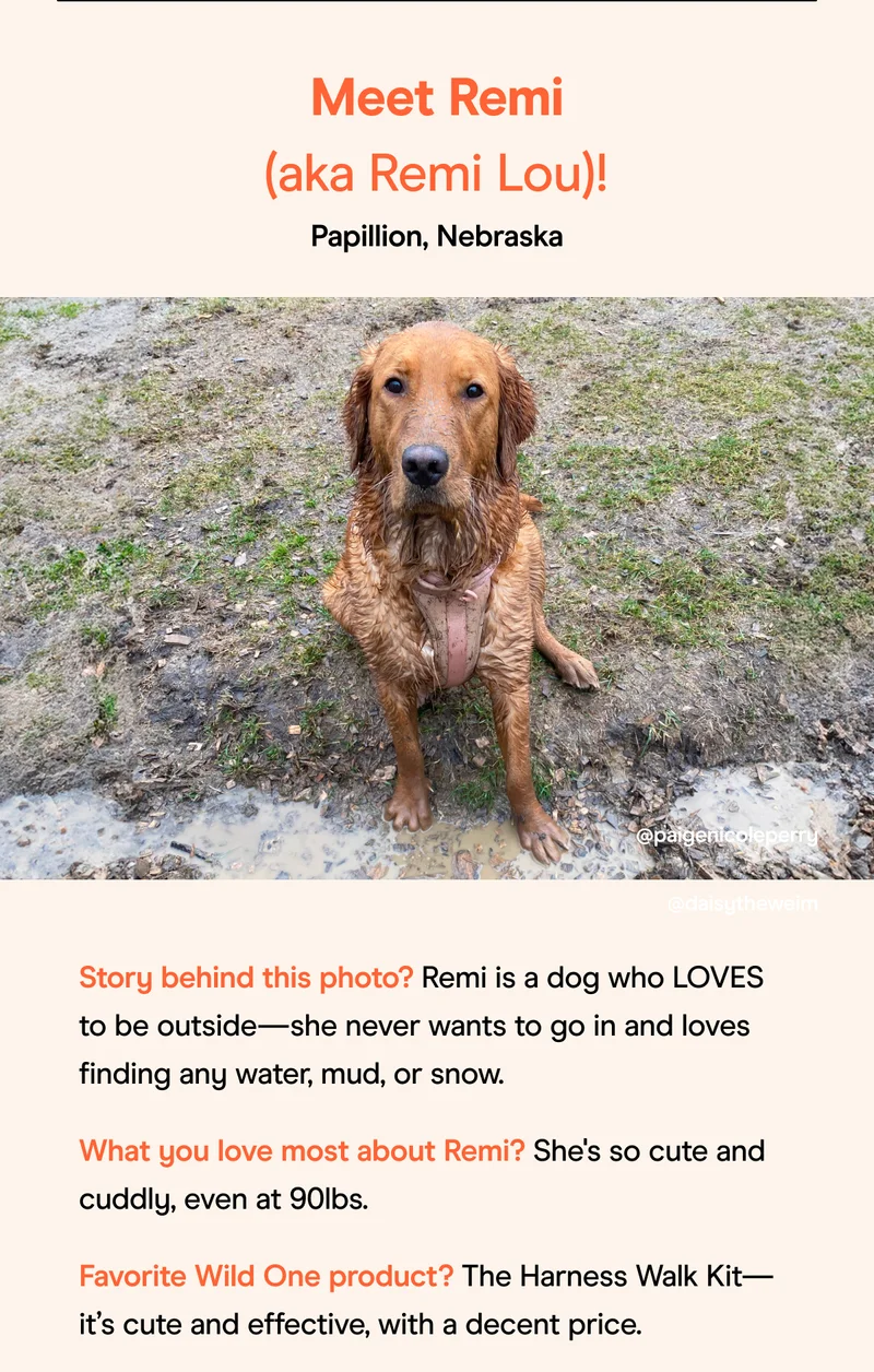Remi's pick