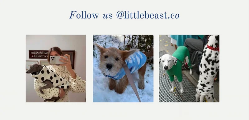 Follow us on Instagram